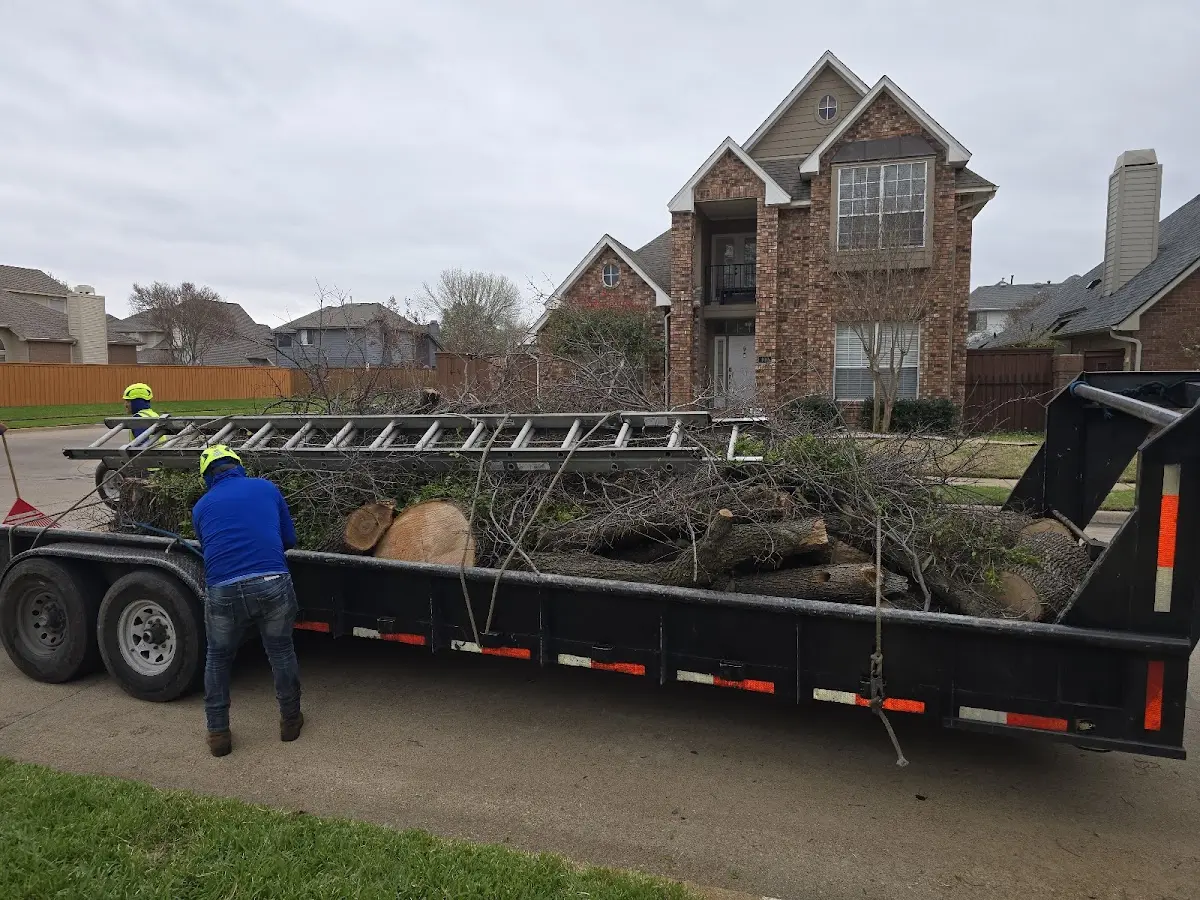 Expert Lot Clearing with proper safety equipment in Gladwin